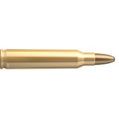 Amunicja 223 REM. S&B SP 3.6 g 2914 +
